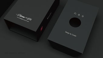 实力担当，引领行业 探寻中国最专业的包装设计服务